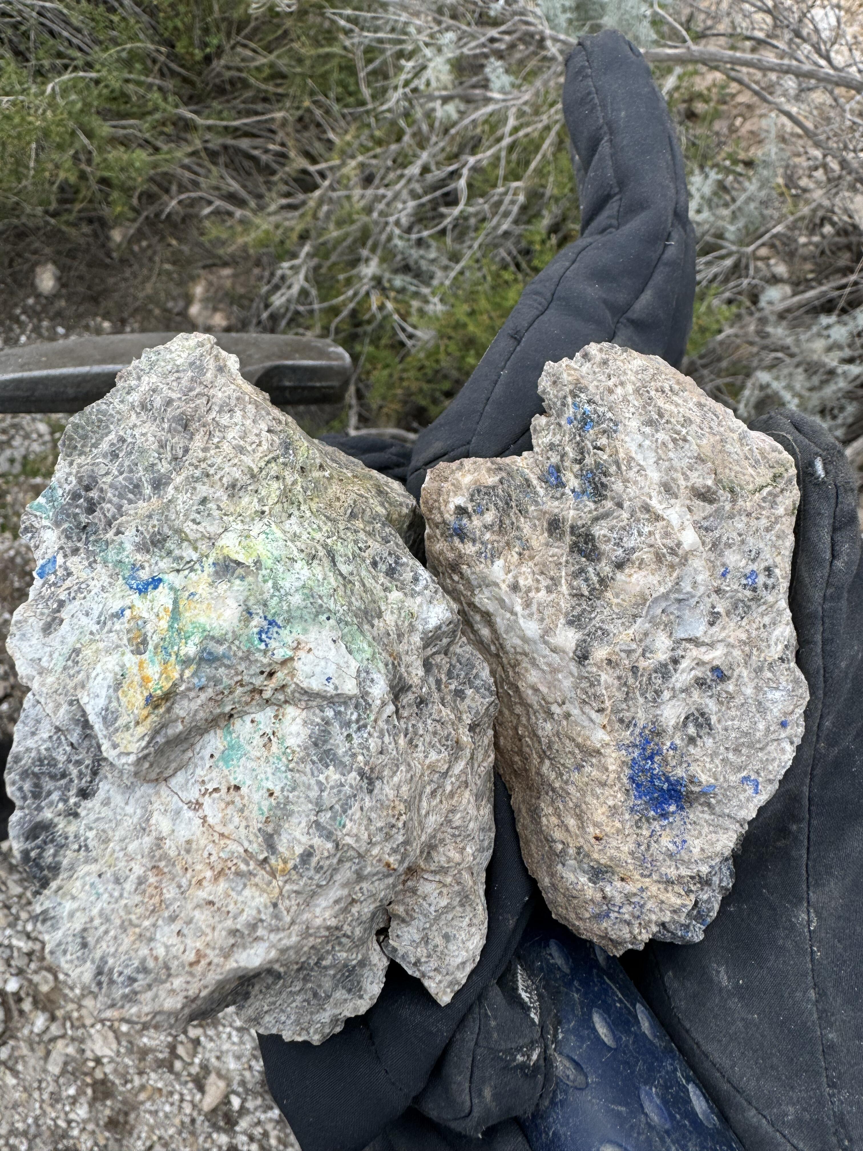 Flamenco Skarn/CRD project near Gualcamayo