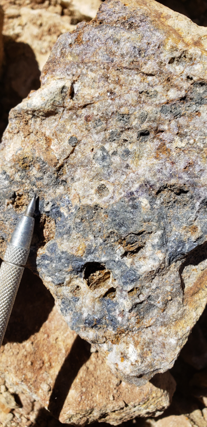 Close-up of a rock sample showing intermediate sulphidation texture.